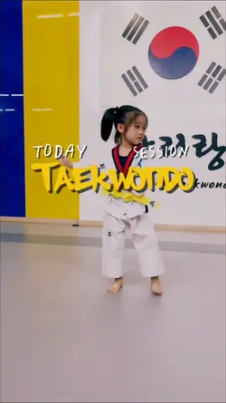 Taekwondo Training