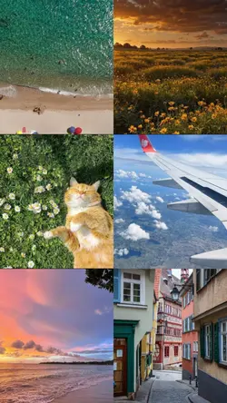 holiday recap