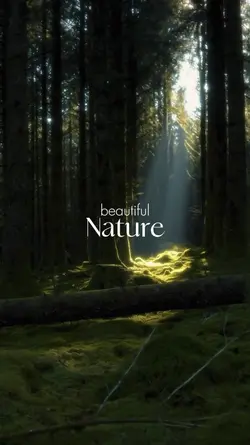 Beautiful Nature
