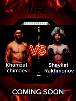 UFC FIGHT 