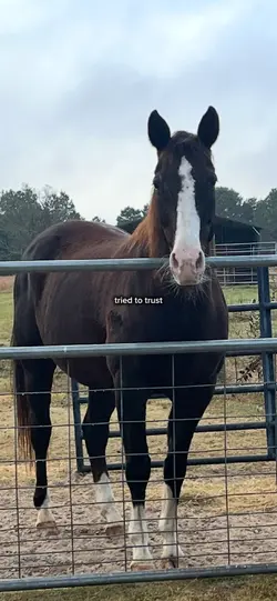 him