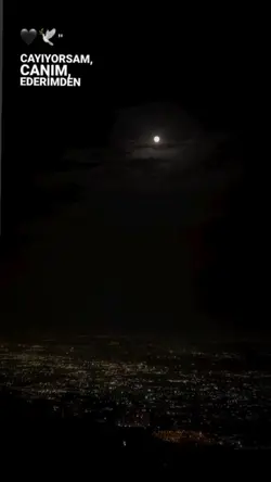Yeni şablon 