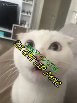 lip sync cat