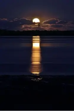 Moon night