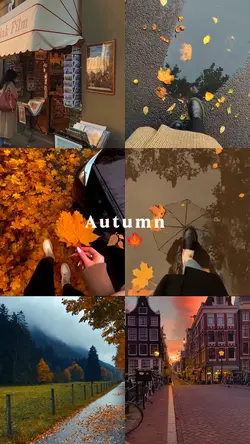 autumn vibes 