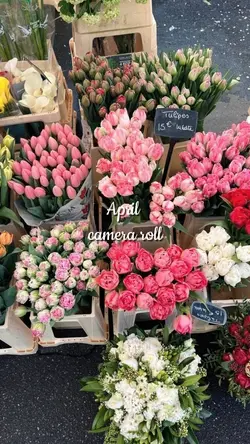 April dump 33 pict