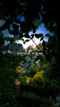nature vibes