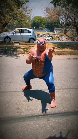 Spiderman o batman