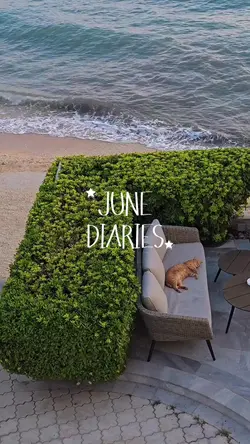 ✿diaries✿