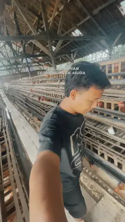 Bisnis
