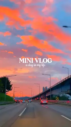 mini vlog