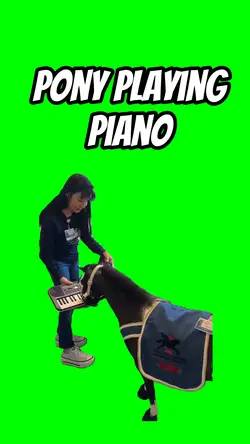 Pony playing piano 