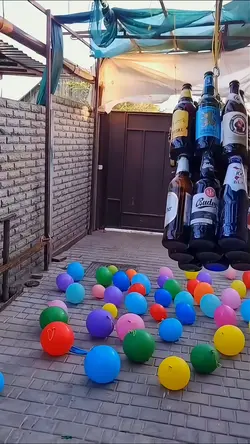 Bottles 🍾 Balloons 🎈