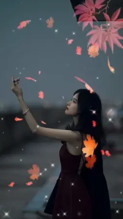 Hiệu ứng lá phong