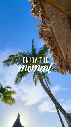 Enjoy the moment