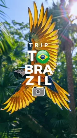 Trip To Brazil