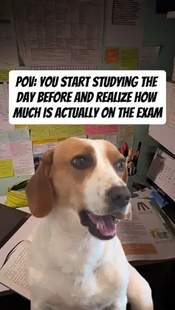 studying the day bef