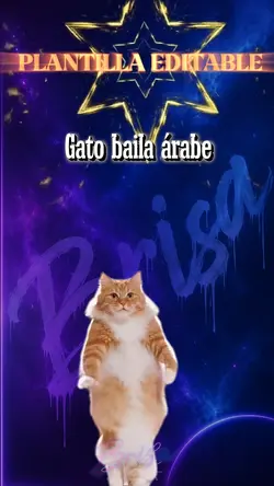 Gato baila árabe 