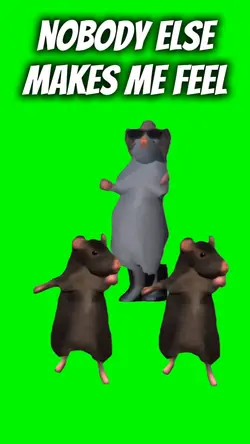 Rats Make Me Feel