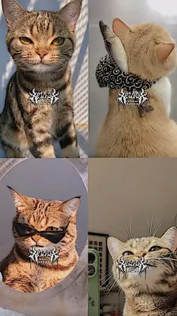 Pokemon 4ช่อง