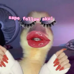 sape follow aku