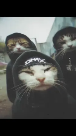 cat edits