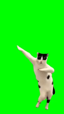 Bailando Dance