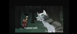 Ivy pool