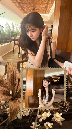 2 picts brown 