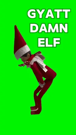 Elf got shelf