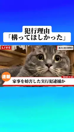 【速報】構ってほしかった