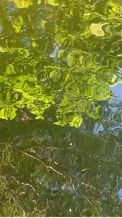 夢想藍圖1.2