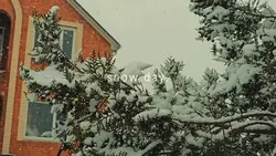 snow day.