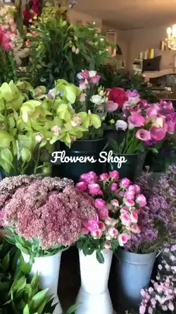 flowers shop