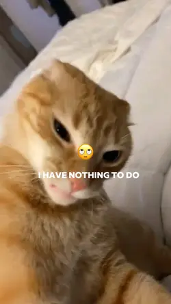 I HAVE NOTHING TO DO