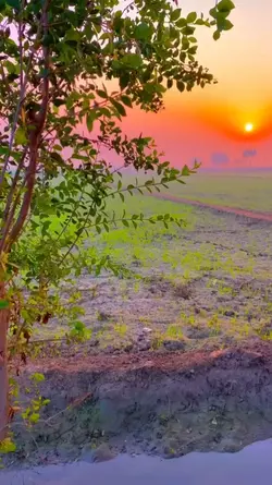 سچائی 