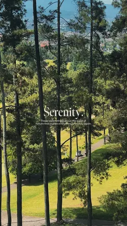 Serenity 🌾