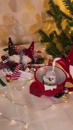 Christmas is comming