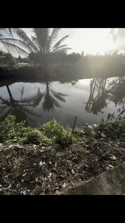 1 vd dừng hình