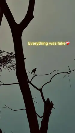 Broken heart ❤️‍🩹