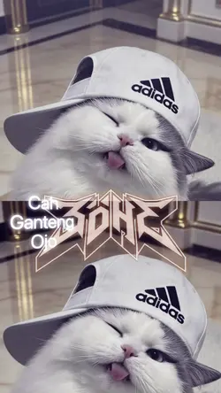cah ganteng ojo