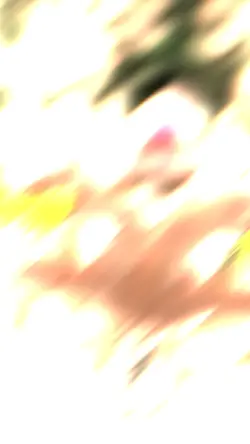 Trend Lamaran