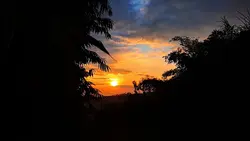 sunrise cinematic