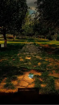 Bir adam seni seviyo