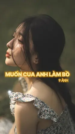 LẤY CÂY KIM MAY ĐỒ