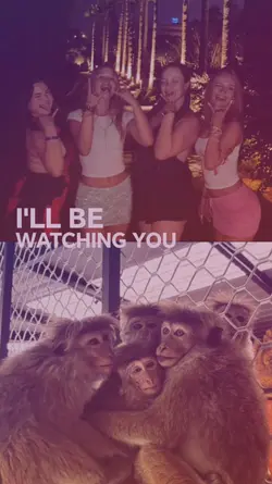 friends