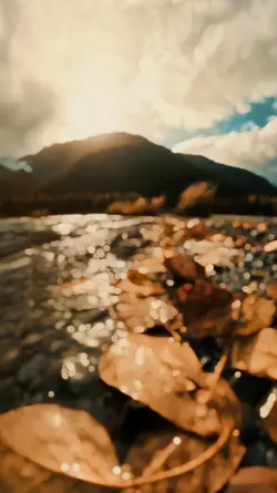 Slowmo india 5video