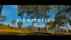 Slow mo viral 