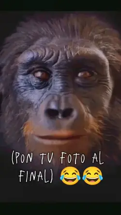 "Evolución"