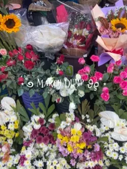 MARCH DUMP